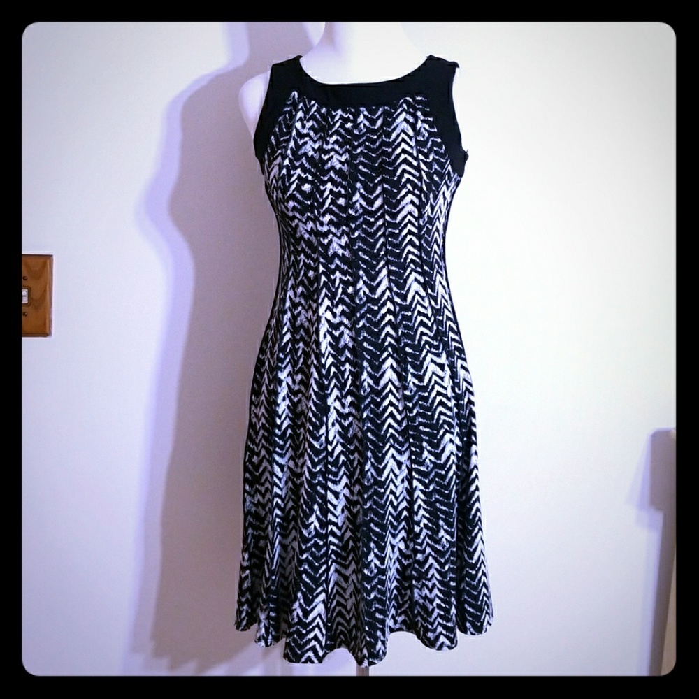 Petite Perceptions Sleeveless Pleat  Dress PS