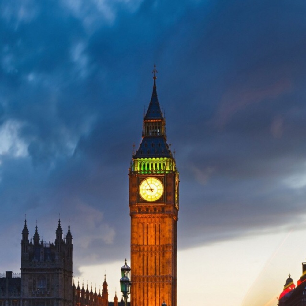 Meet your Posher, Will