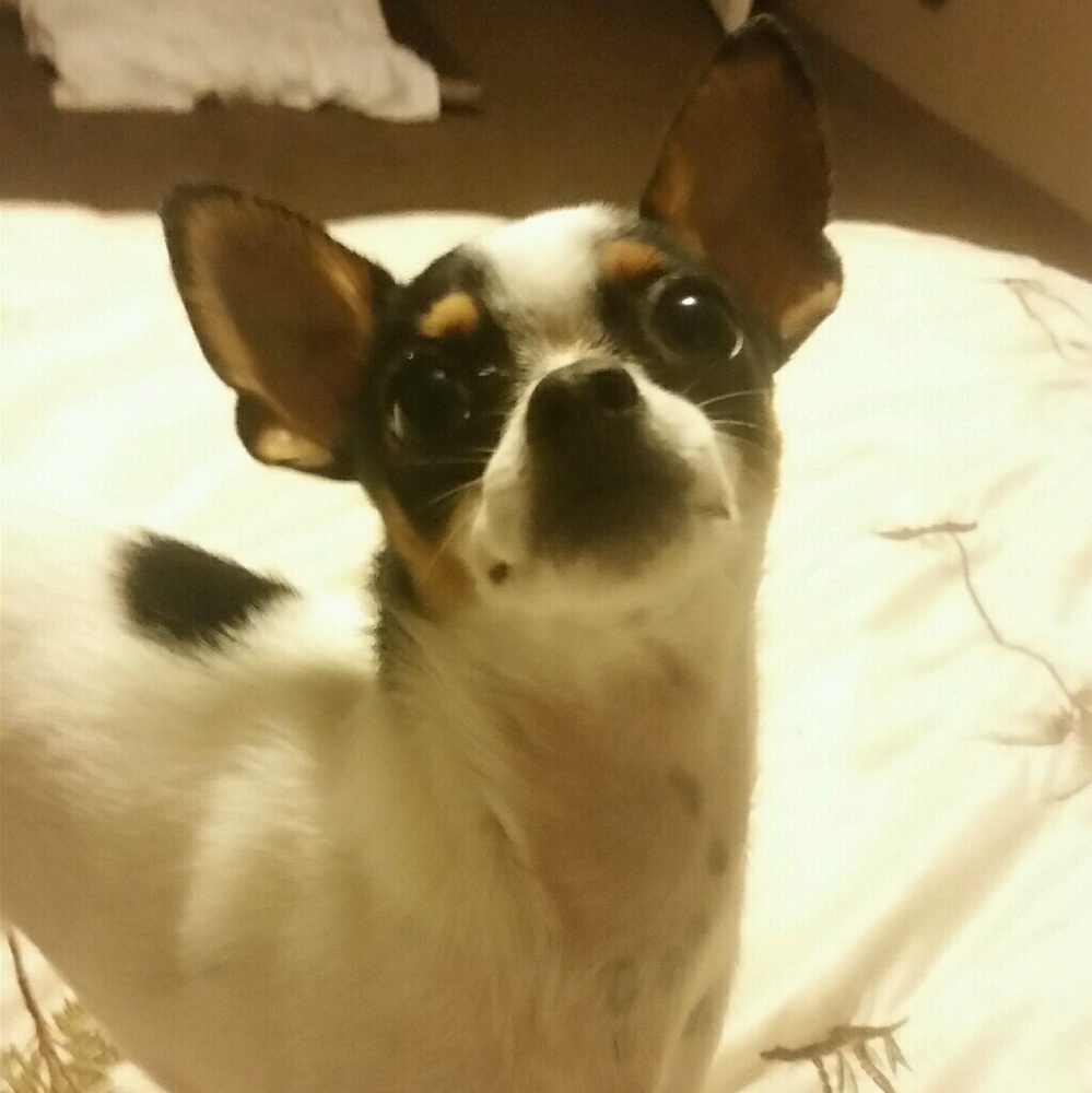 Meet your Posher, Mary