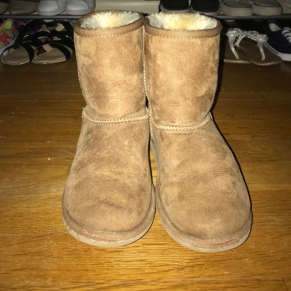 Chestnut Uggs