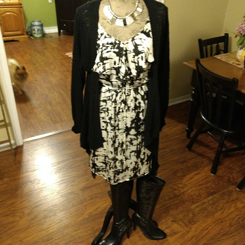 Dots Silky Career Dress