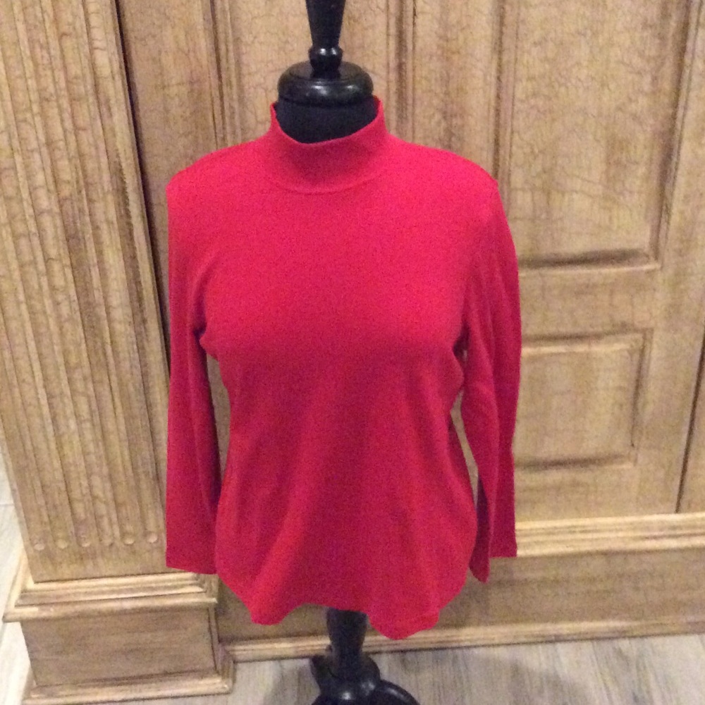 Karen Scott turtleneck