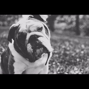 Meet your Posher, Wade