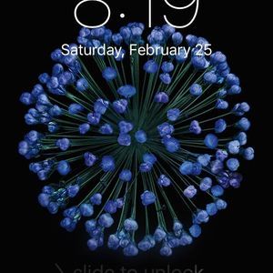 Meet your Posher, Evangelina