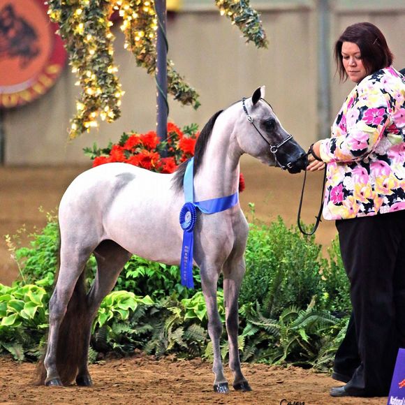 Meet your Posher, Jamie - Picture 1 of 1