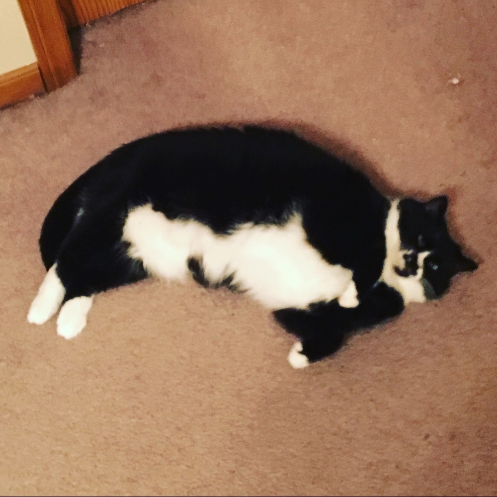 Assistant being helpful