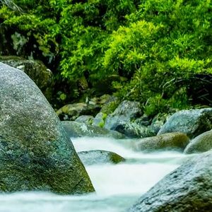 Meet your Posher, Breauna