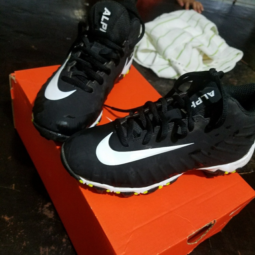 shoe