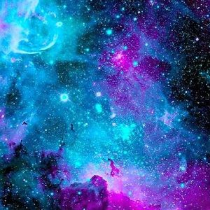 Meet your Posher, Noah