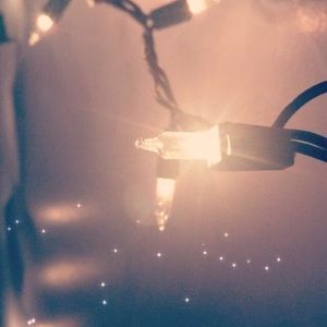 Meet your Posher, Holly