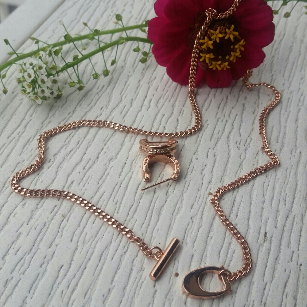 Coach chain and earings rose gold
