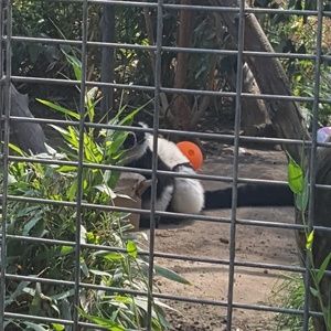 Meet your Posher, Kevin