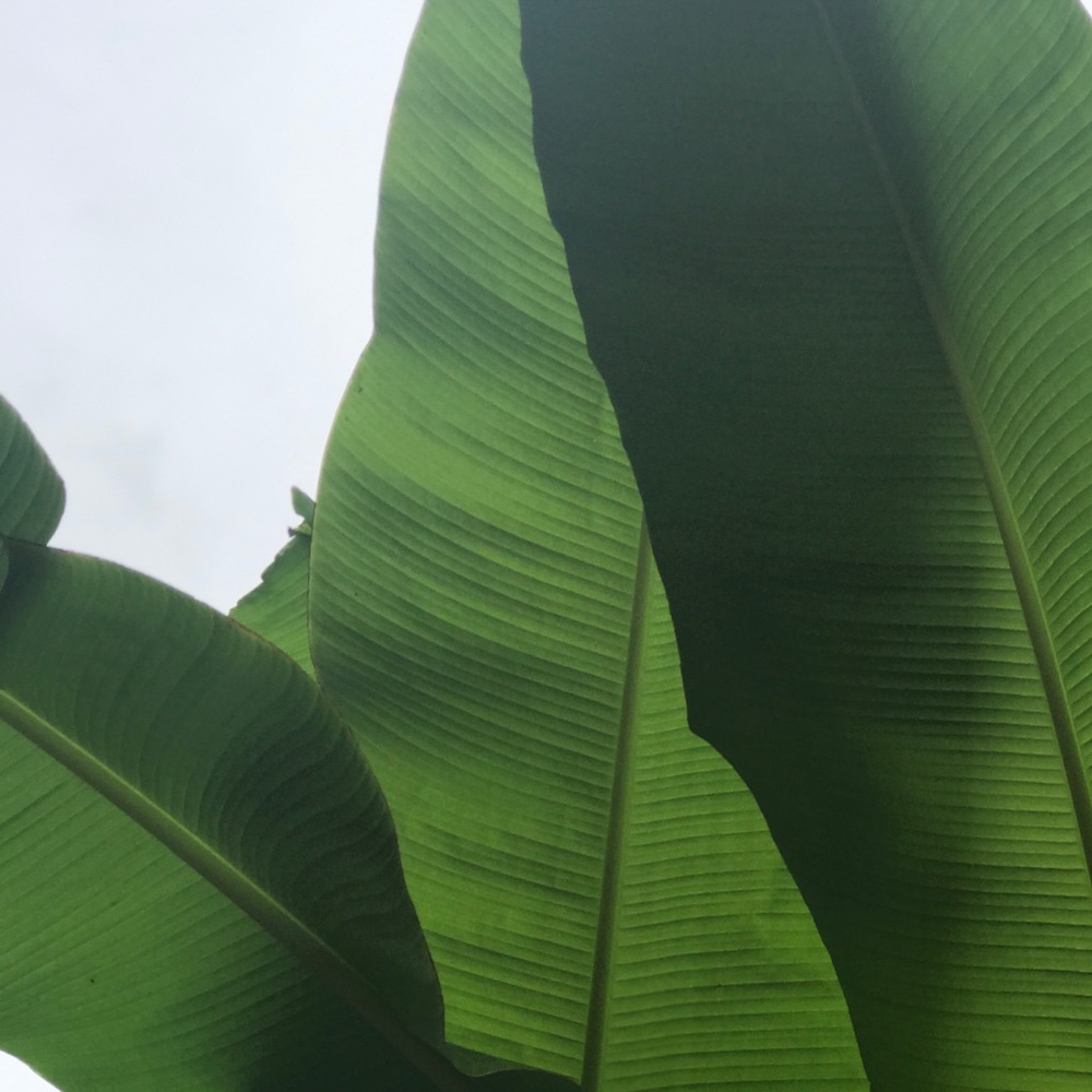 Meet your Posher, Tori