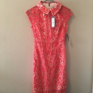 New York and company dress