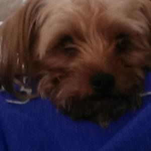 Meet your Posher, Candice