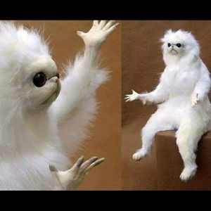 Meet your Posher, Bing