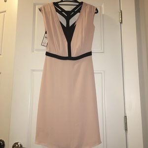 BCBG MAXAZRIA Bare Pink "Katryn" Dress