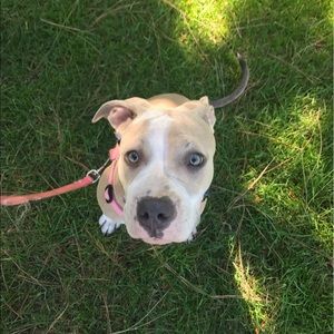 Meet your Posher, Mckenna