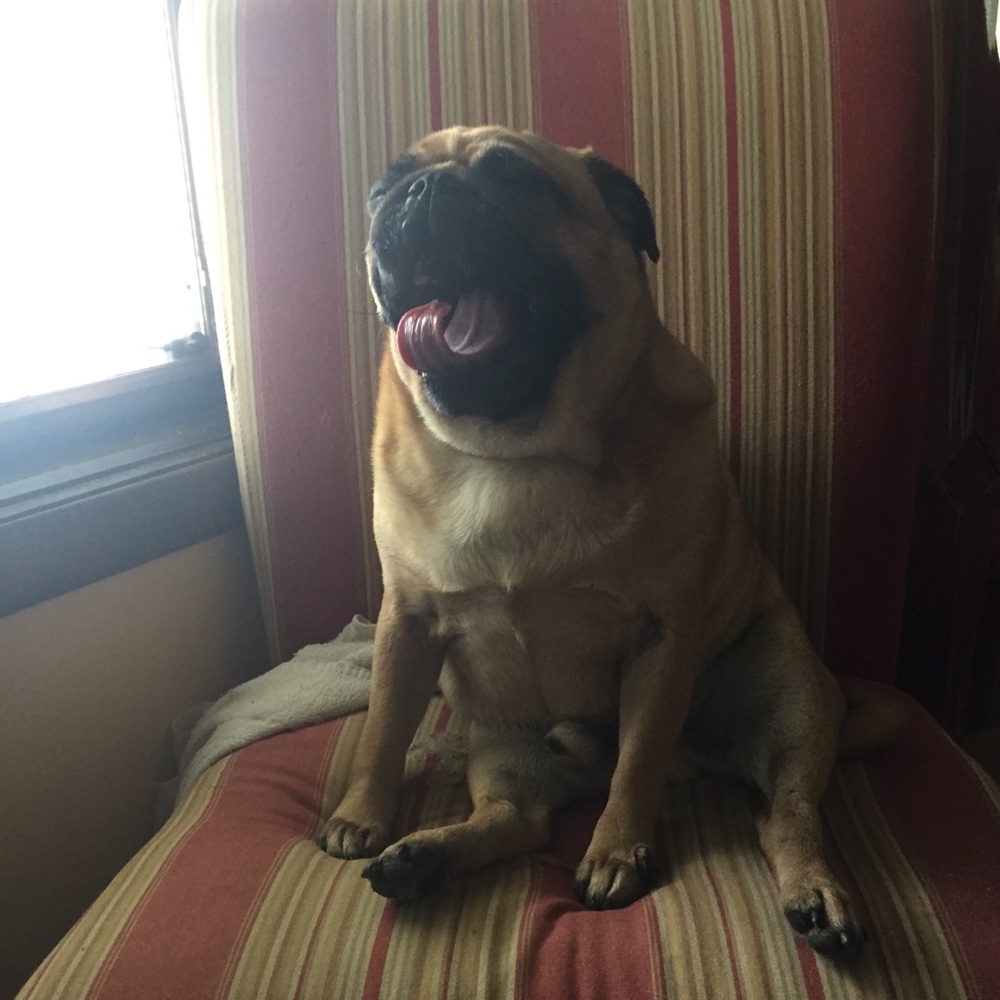 Meet your Posher, Kelly