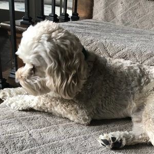 Meet your Posher, Rob