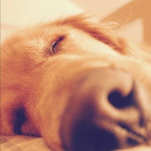 Meet your Posher, Chloe