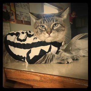 My closet!! SMOKE FREE AND PET FRIENDLY