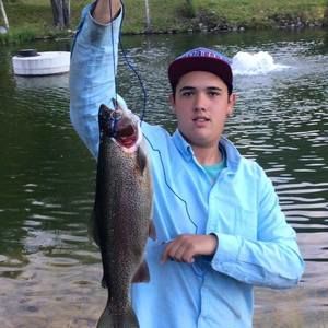 Meet your Posher, Devin