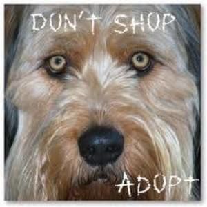 Meet your Posher, Cristina