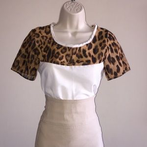 Leapord Animal Print Short Sleeve Chiffon Blouse