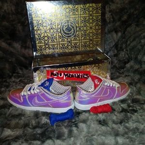 Rare Brand New 10.5 Nike x Concepts Holy Grail