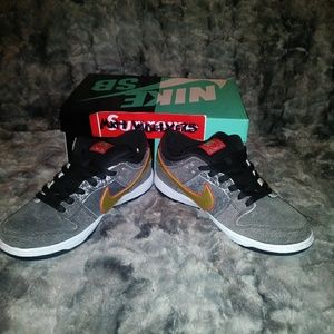 Rare Brand New 11 Nike SB Beijing Dunk Low