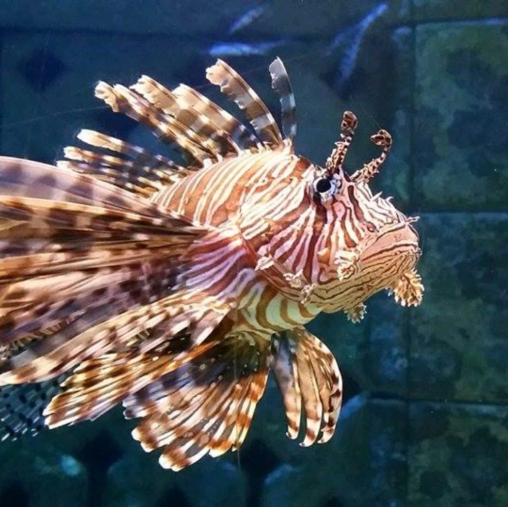 Meet your Posher, Stacy