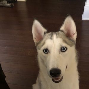 Meet your Posher, Sandra