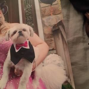 Meet your Posher, Lori