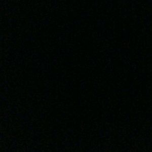 Meet your Posher, Tanisha