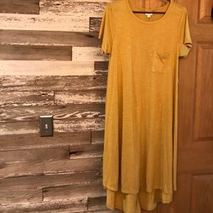 NWT medium Carly