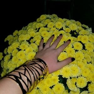 Meet your Posher, Ashlyn