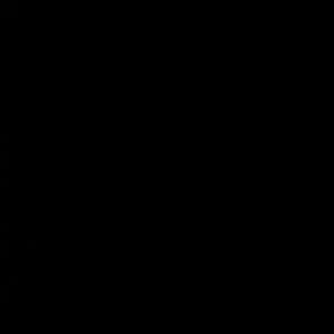 Meet your Posher, Alan