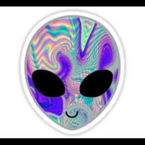 Meet your Posher, Paxton