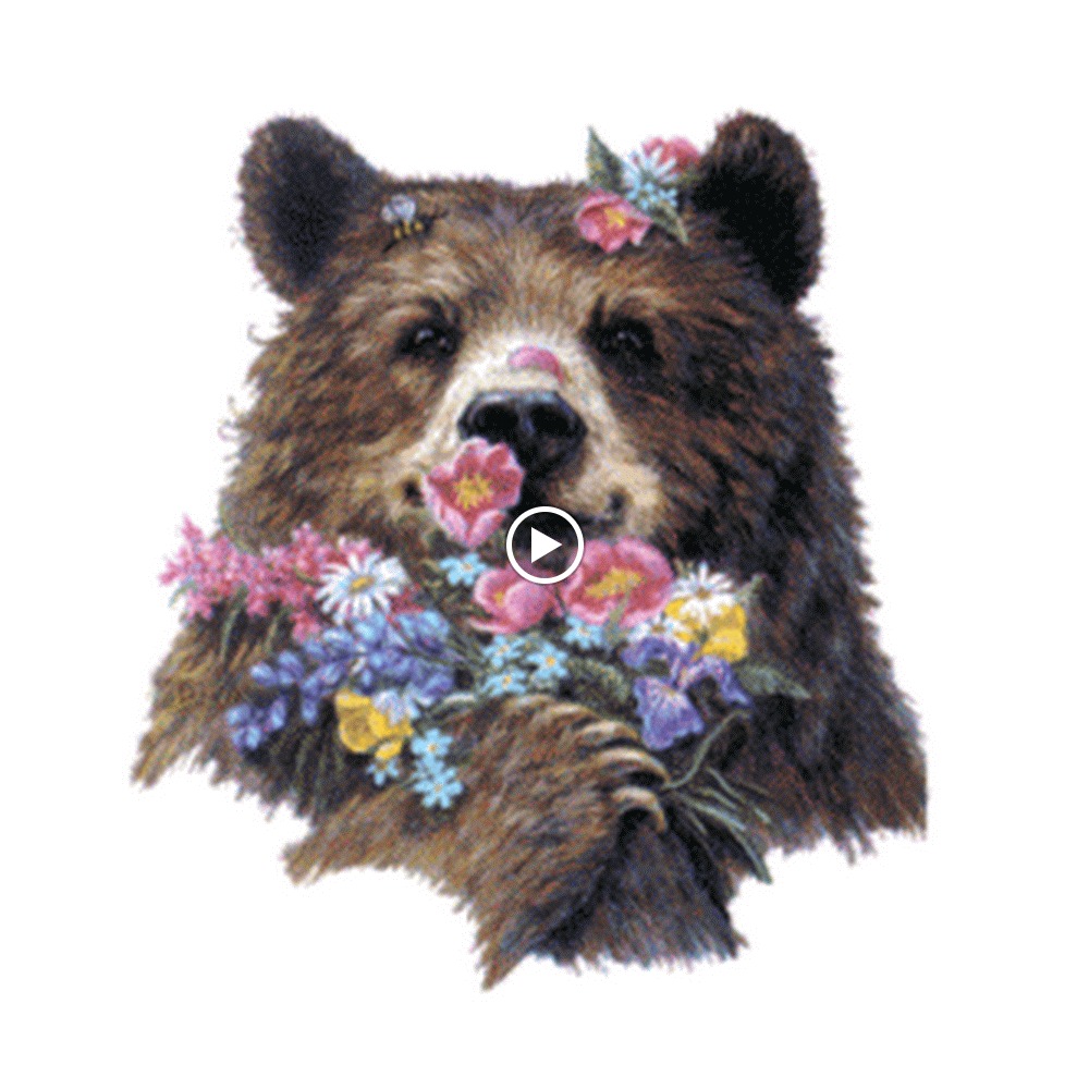 Meet your Posher, Autumn