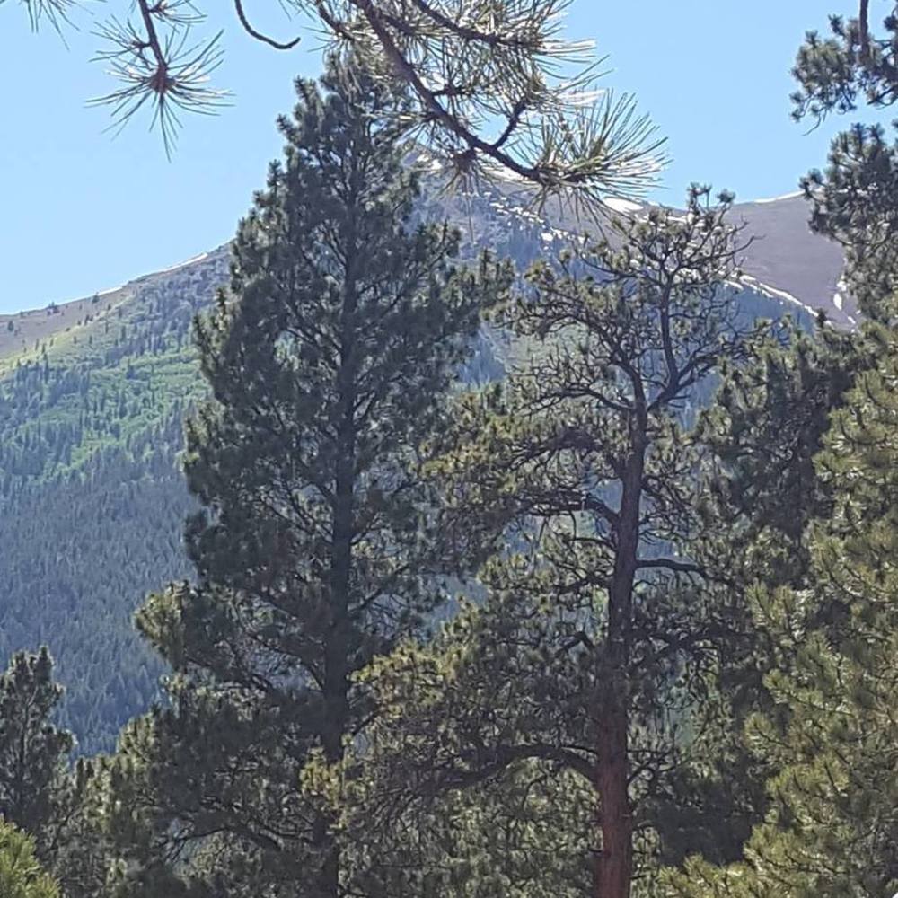 Meet your Posher, Lindsay