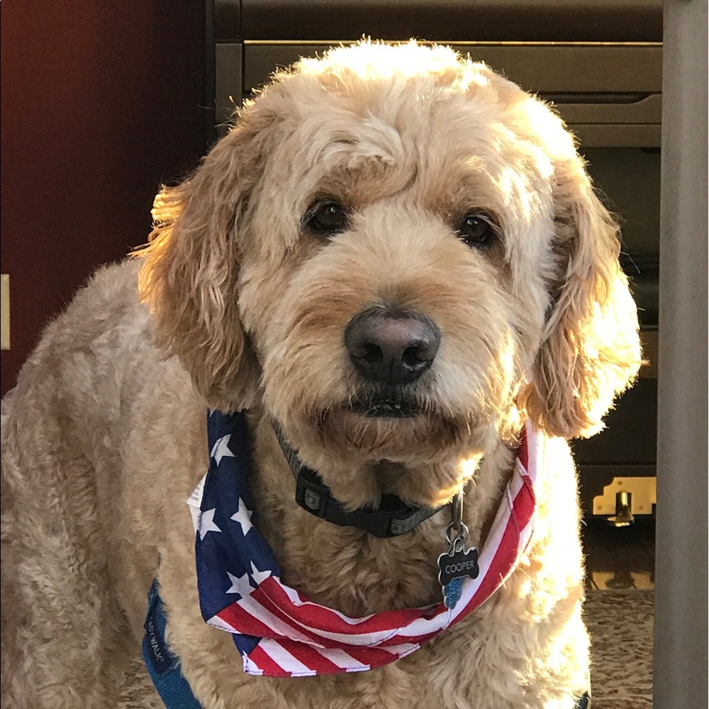 Meet your Posher, Nancy