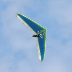 Meet your Posher, Ann