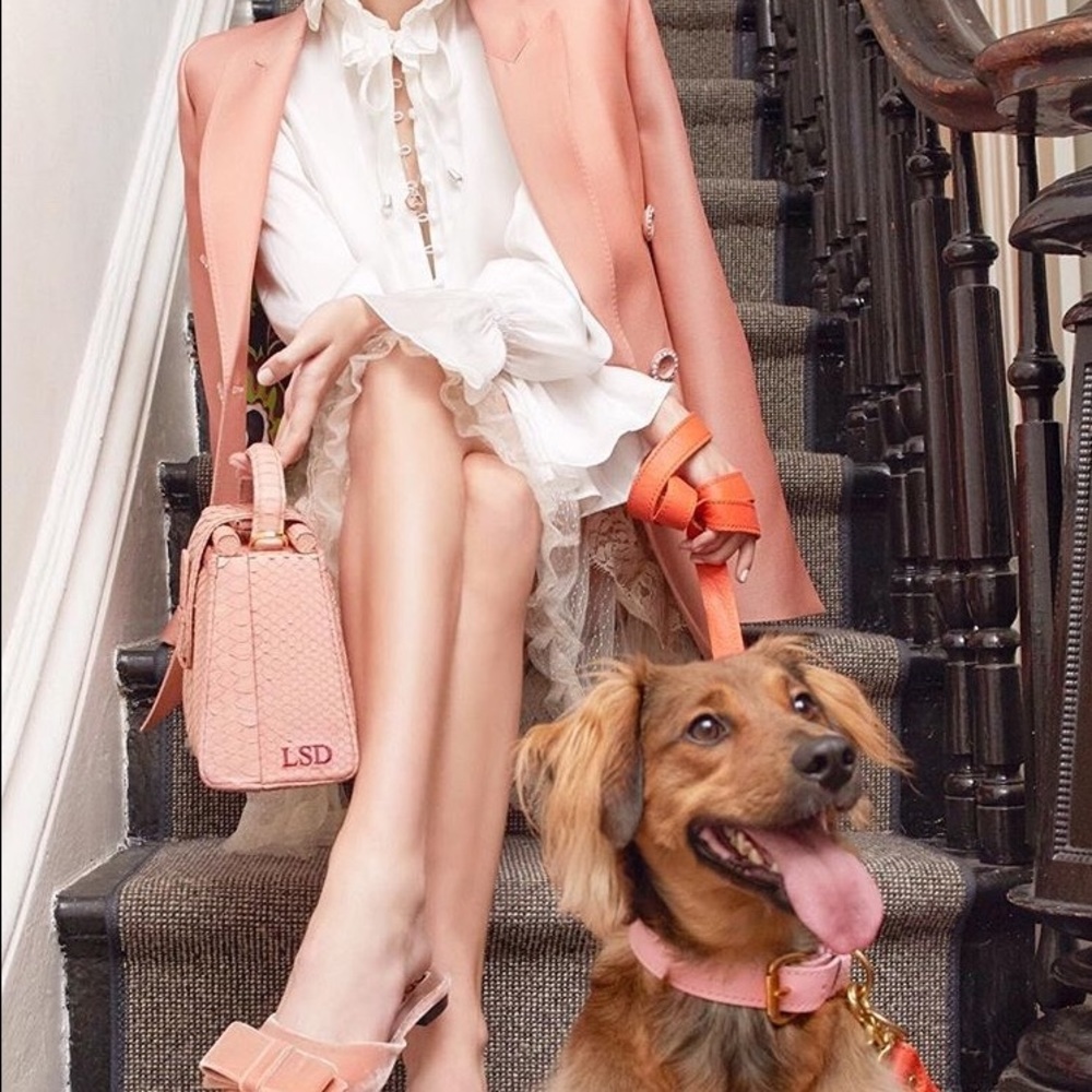 Meet your Posher, Reagan