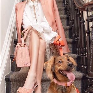 Meet your Posher, Reagan