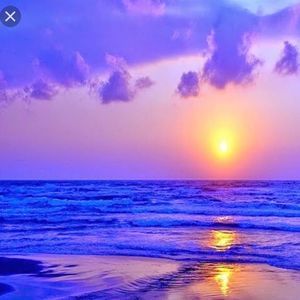 Meet your Posher, Lydia