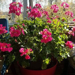 Meet your Posher, Pam