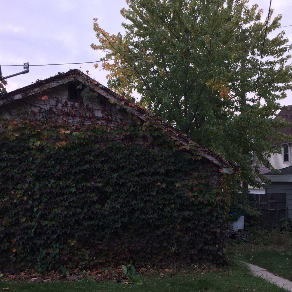 Meet your Posher, Chelsea