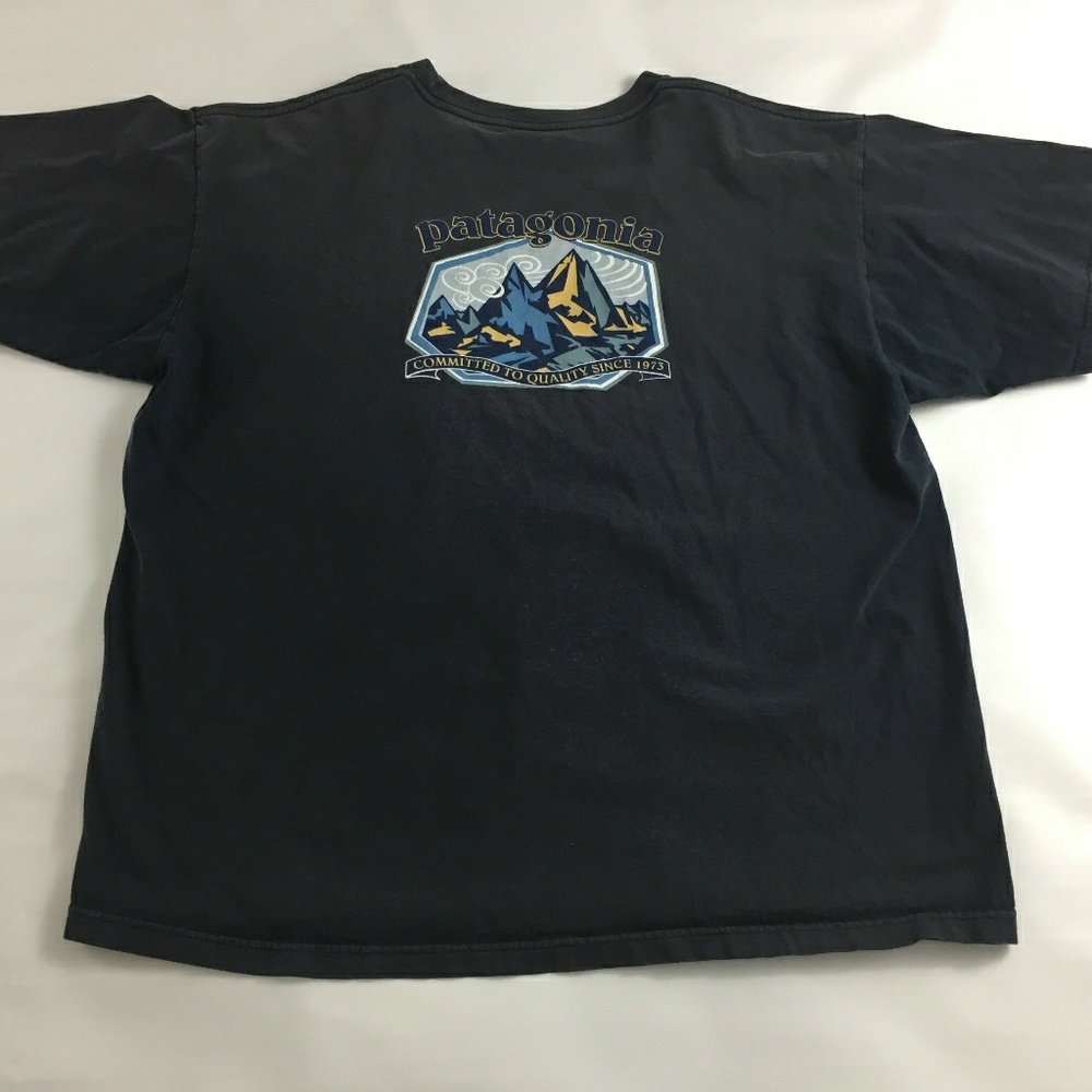 Patagonia men's t-shirt size large organic cotton