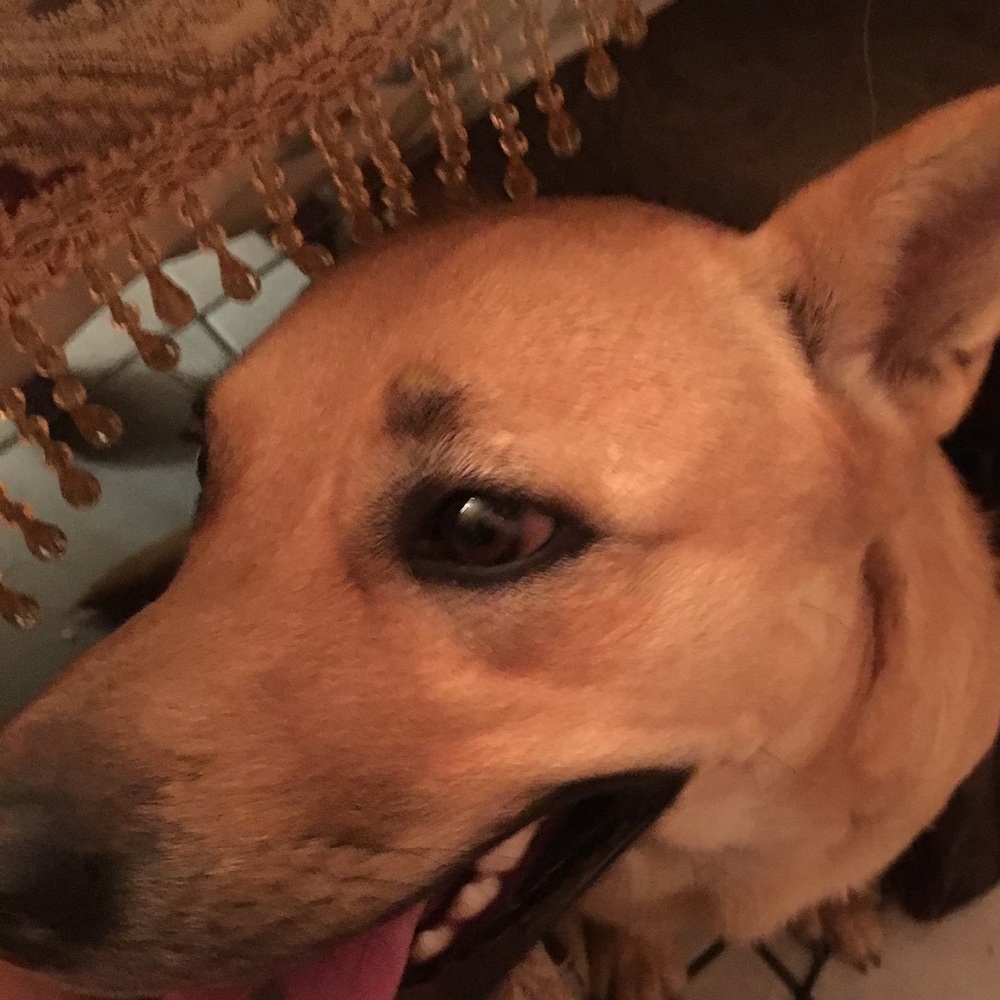 Meet your Posher, Keiry